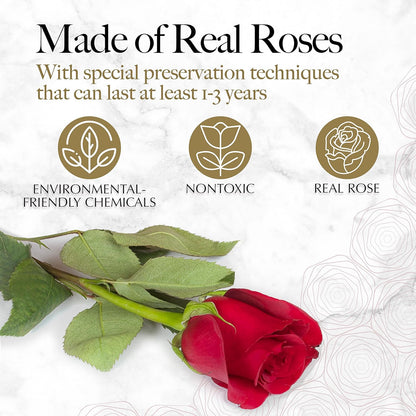 Eternal Heart Preserved Rose Arrangement